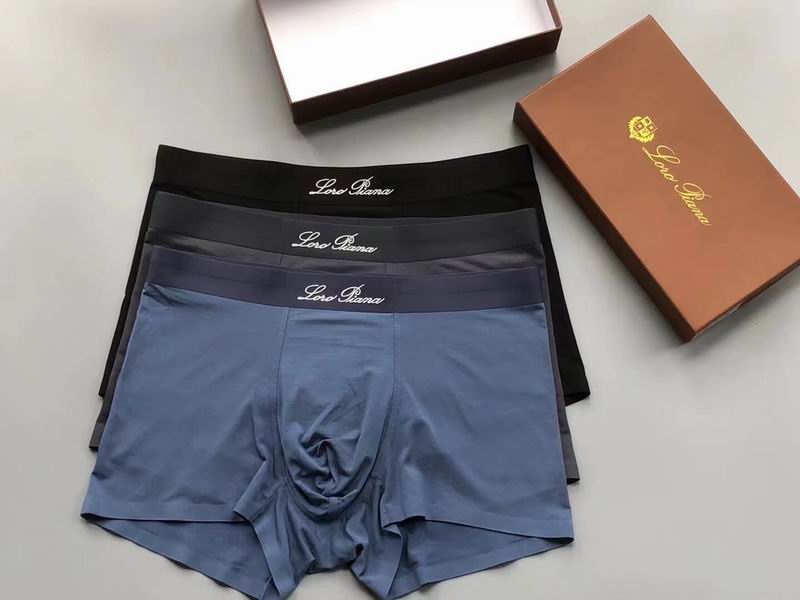 LP boxer L-4XL 04